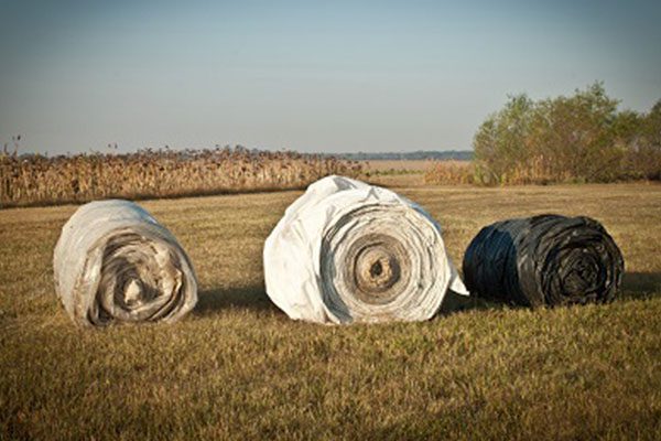 Three Grain Bags rolled in a field