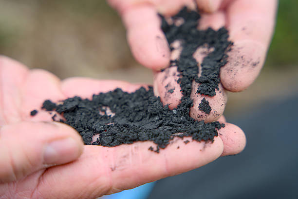 Close-up of biochar, produced through wood pyrolysis Image of hands sifting through biochar.